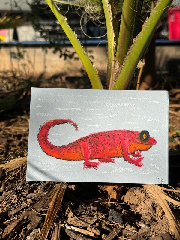 A bright red lizard with a curled tail is drawn on white paper, placed outdoors against a backdrop of green foliage and dark earth.