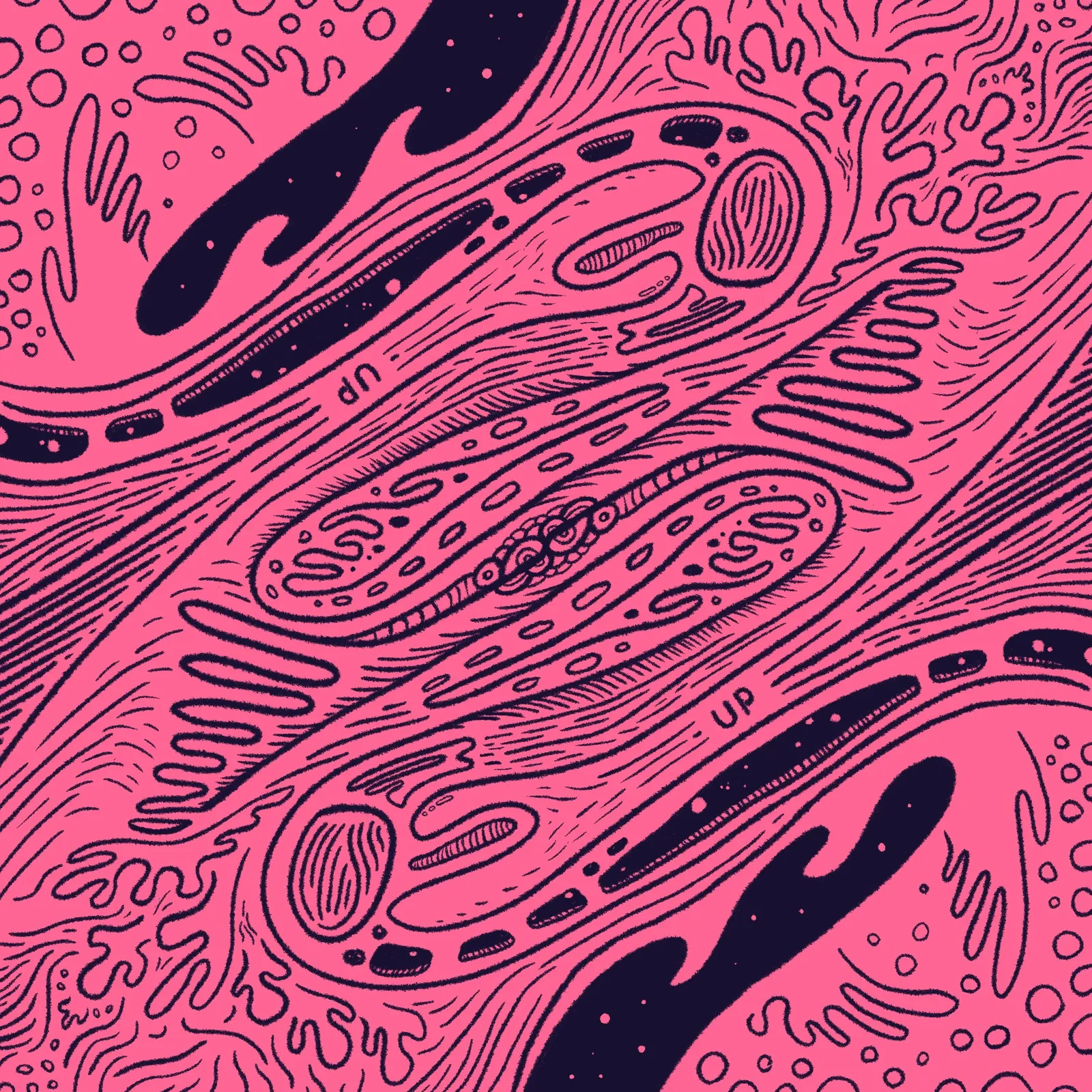 Abstract composition of organic, wavy shapes in bright pink and dark blue, filled with detailed linework, patterns, and the letters UP.