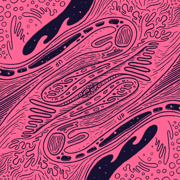 Abstract composition of organic, wavy shapes in bright pink and dark blue, filled with detailed linework, patterns, and the letters UP.