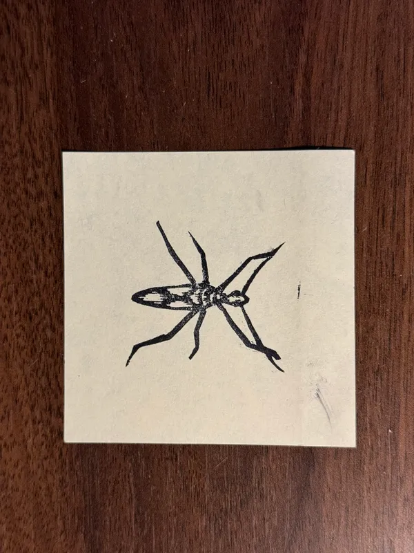 A linear black drawing of a stylized spider with a segmented body and eight thin legs, centered on light tan paper.