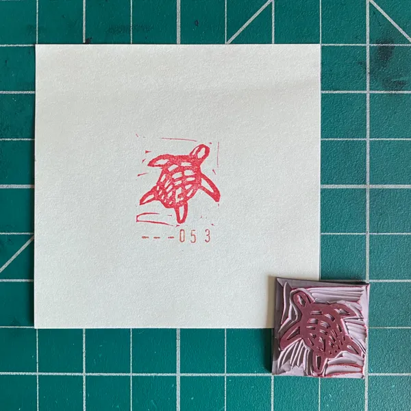 A white card on a teal grid displays a red outline sketch of a sea turtle with the numbers --053 below it, next to a small, pressed reddish-brown sea turtle shape.
