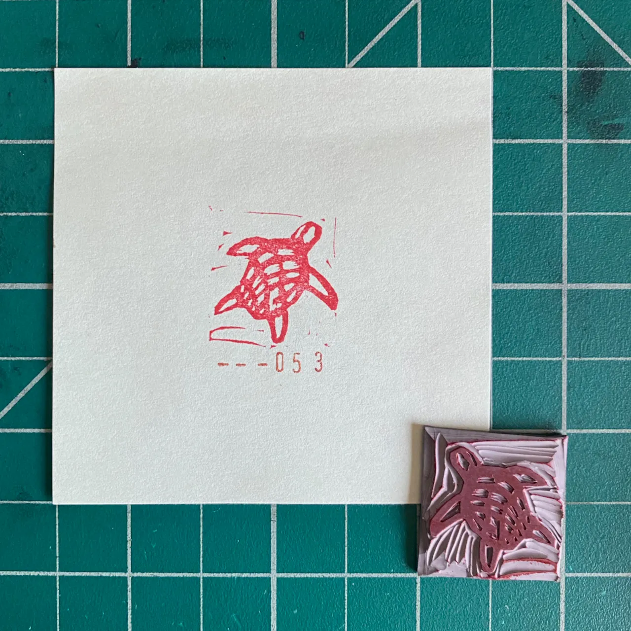 A white card on a teal grid displays a red outline sketch of a sea turtle with the numbers --053 below it, next to a small, pressed reddish-brown sea turtle shape.