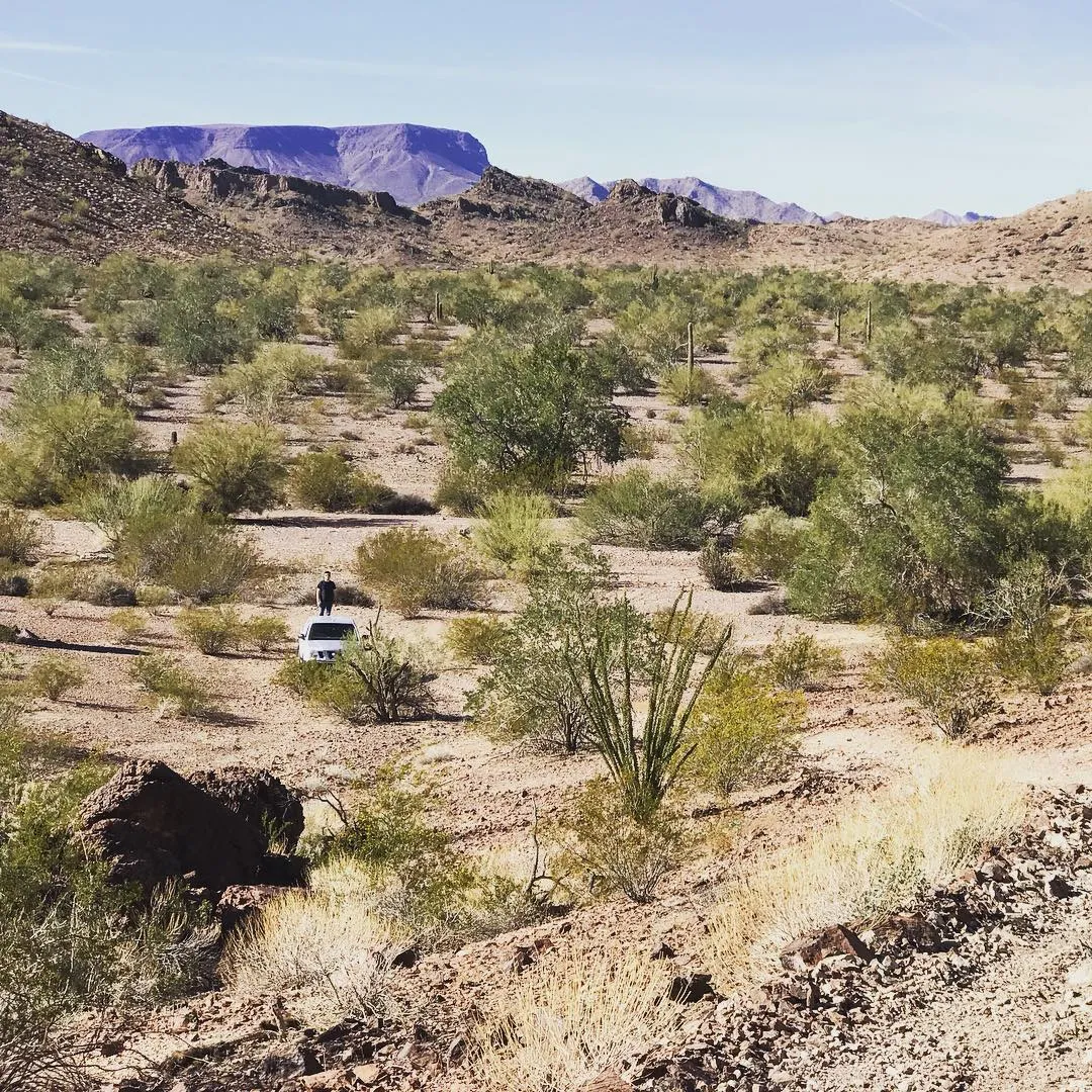 Dry, tan earth and dense olive-green scrub brush fill the foreground, leading to a distant view of layered blue and purple mountains under a bright sky.