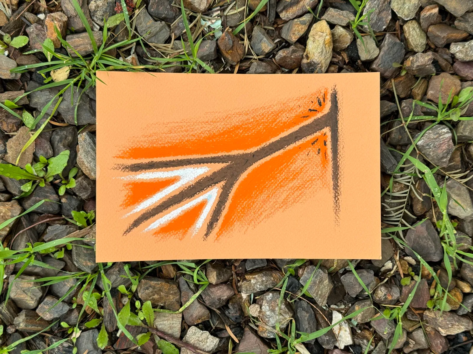 A drawing of thick, orange, branching lines radiates across a light peach square, set against a background of rocks and green grass.
