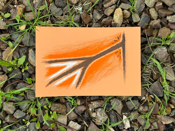 A drawing of thick, orange, branching lines radiates across a light peach square, set against a background of rocks and green grass.