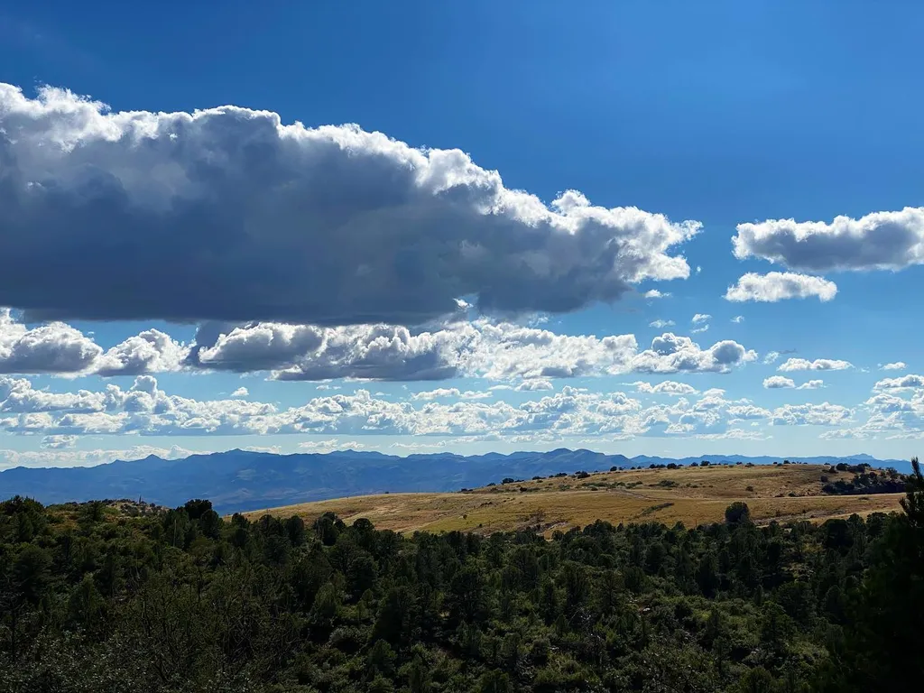 A wide landscape shows dark green trees in the foreground, rolling tan hills in the middle, and distant blue mountains under a dramatic sky filled with bright white and gray clouds.