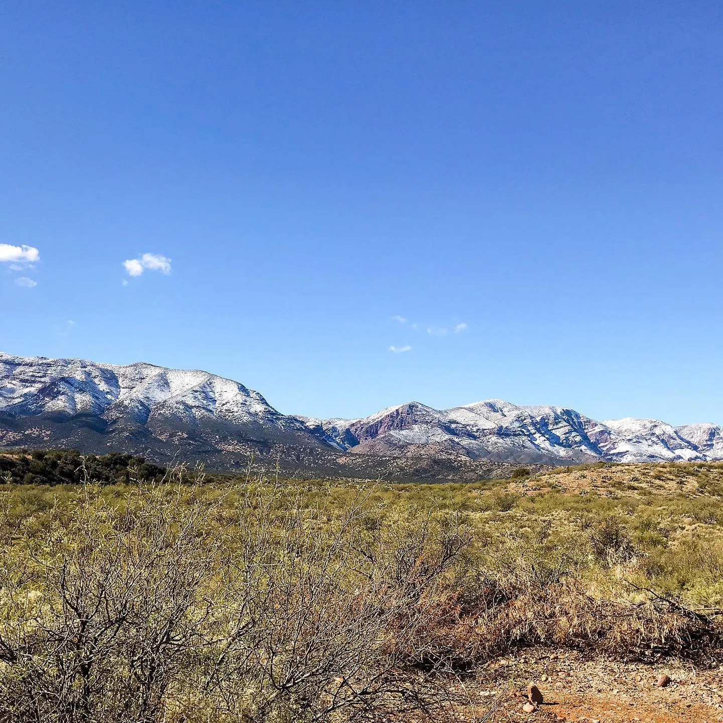 Dense, dry scrub occupies the foreground, transitioning to a flat plain beneath a vast blue sky that dominates the upper half, framing a range of snow-dusted mountains.