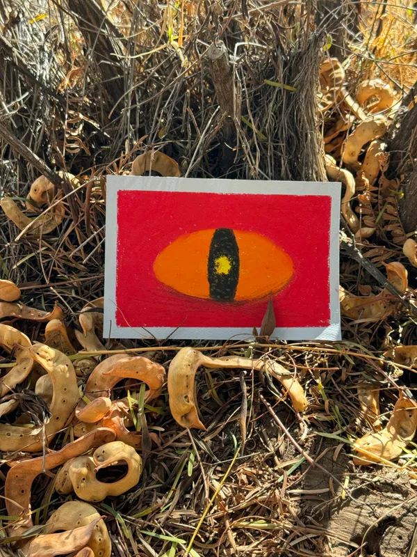 A rectangular piece of art featuring a yellow eye on a red background rests on dry, textured ground covered in brown leaves, sticks, and sparse vegetation.