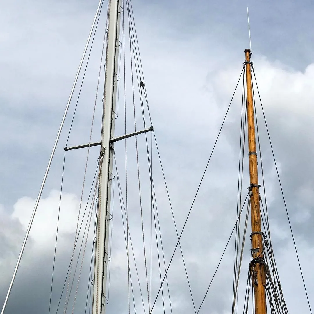 A tall, silver mast stands beside a warm, wooden mast, crisscrossed by many dark rigging lines against a dramatic, cloudy gray sky.