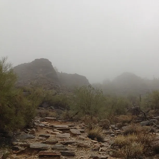 Scrub brush and layered brown rocks occupy the foreground, leading up to muted, fog-shrouded hills that fade into a dense, pale gray mist.