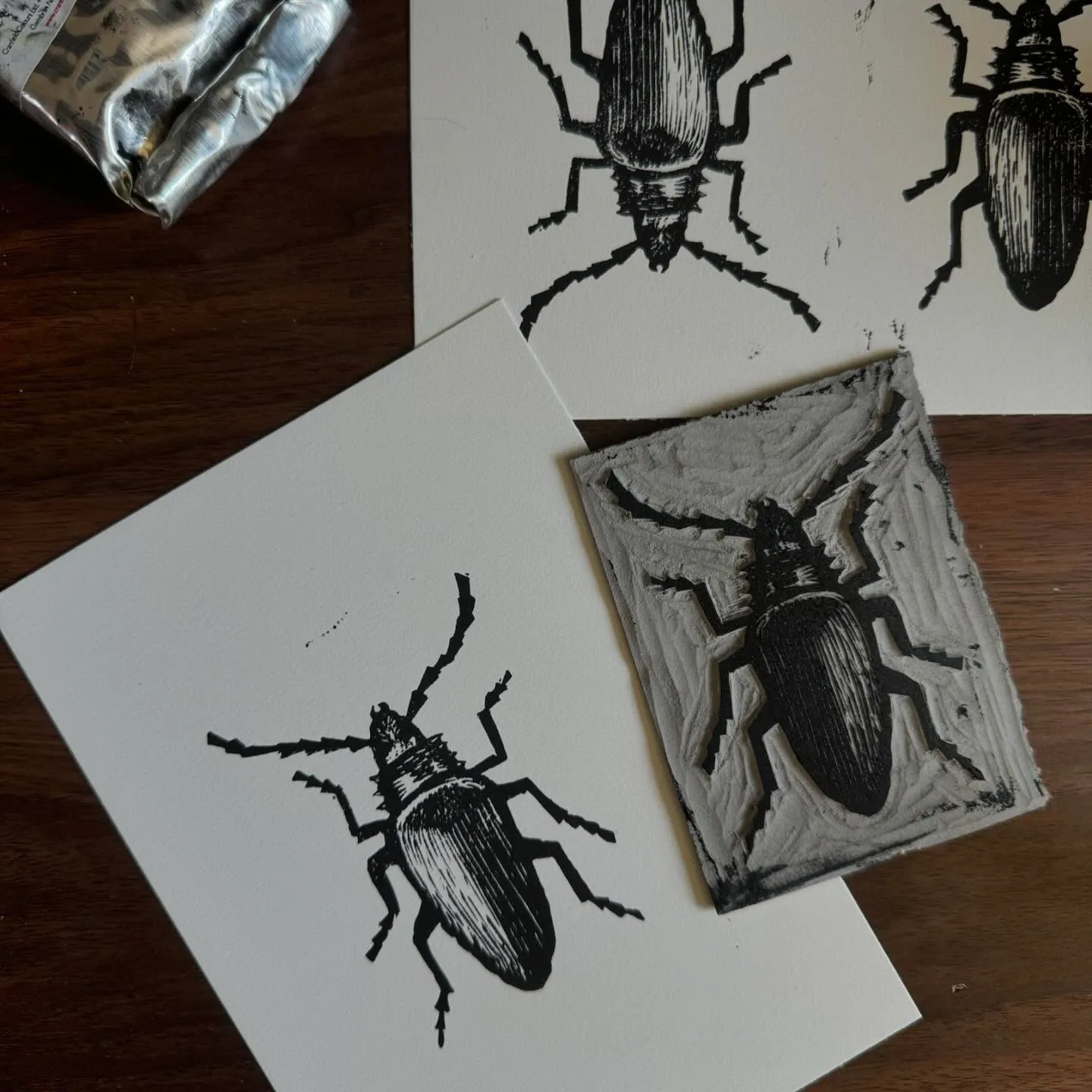 Multiple black and white drawings of various beetles are displayed on white and textured gray paper, scattered across a dark wooden surface.