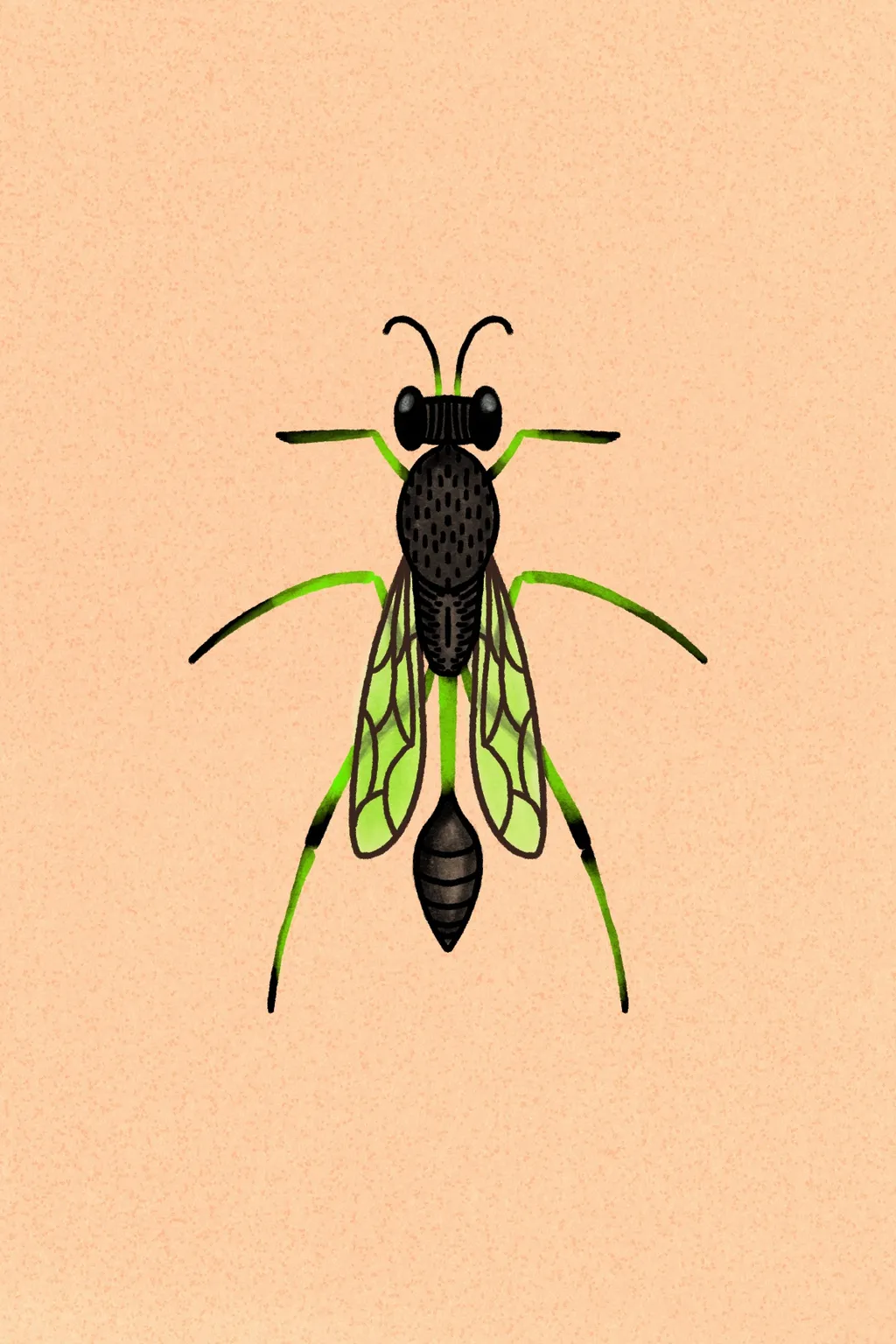 A stylized drawing of a black and yellow insect with green outlined wings and legs, centered on a pale peach background.