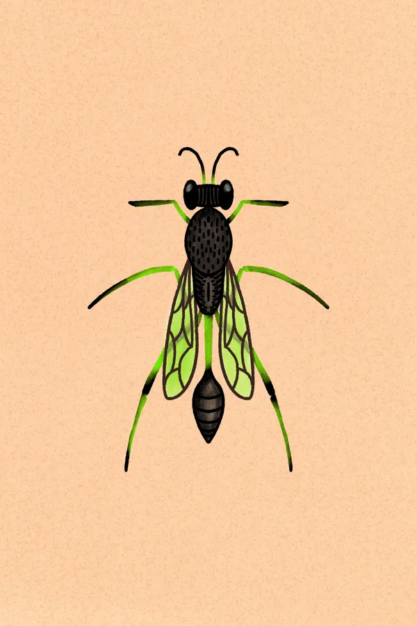 A stylized drawing of a black and yellow insect with green outlined wings and legs, centered on a pale peach background.