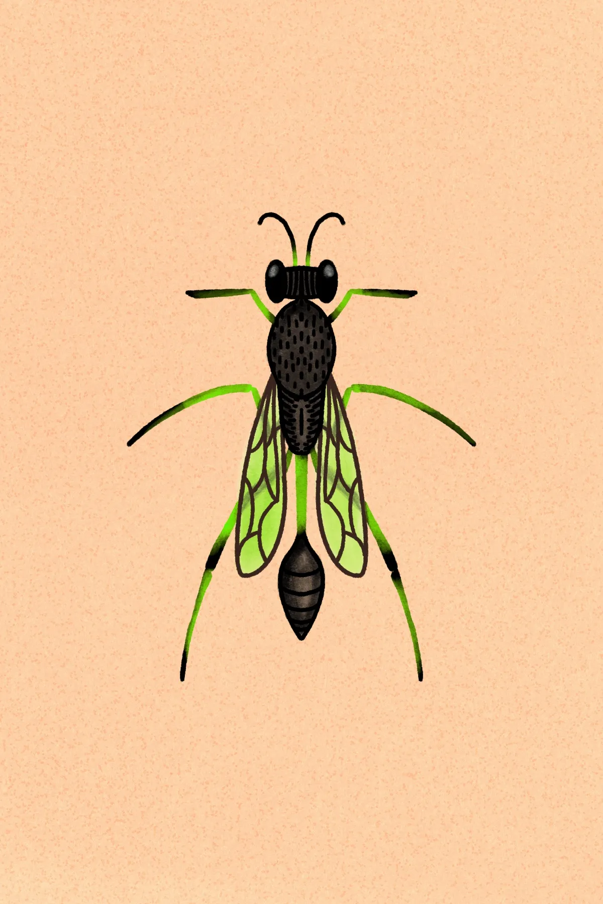 A stylized drawing of a black and yellow insect with green outlined wings and legs, centered on a pale peach background.