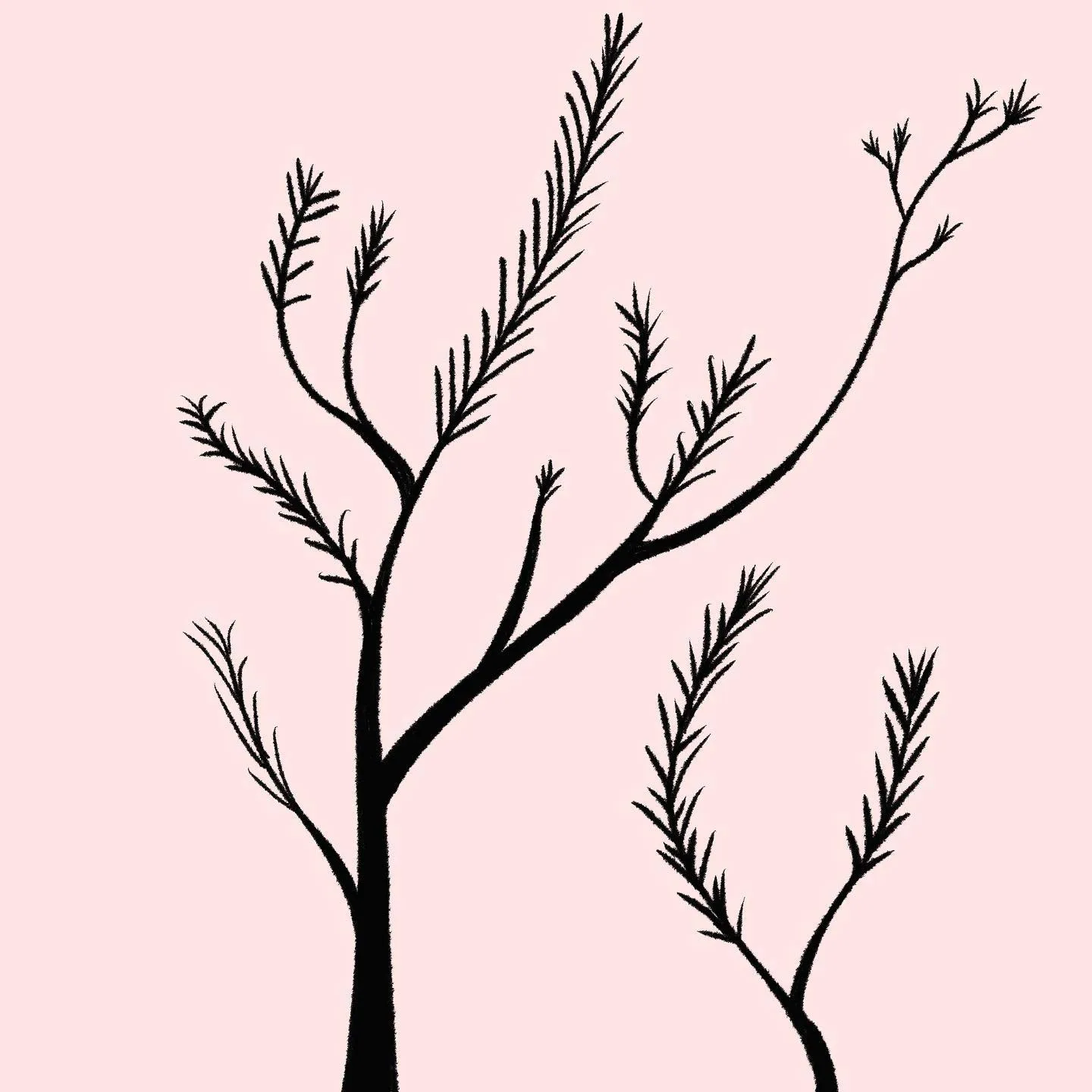 A black line drawing depicts multiple stylized, branching saplings of varying heights and angles against a solid pale pink background.