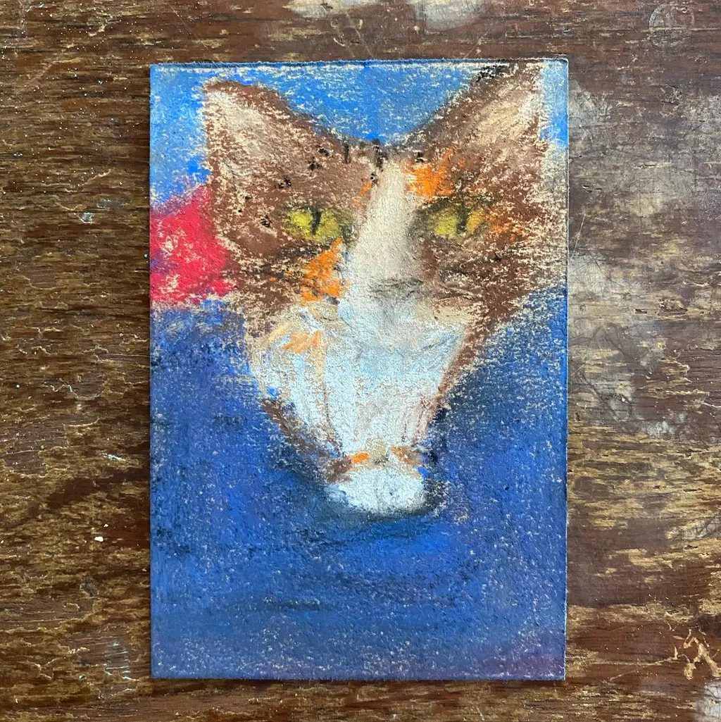 A cat portrait featuring brown and white markings on the face, centered against a solid deep blue background that includes a visible red accent on the left side.