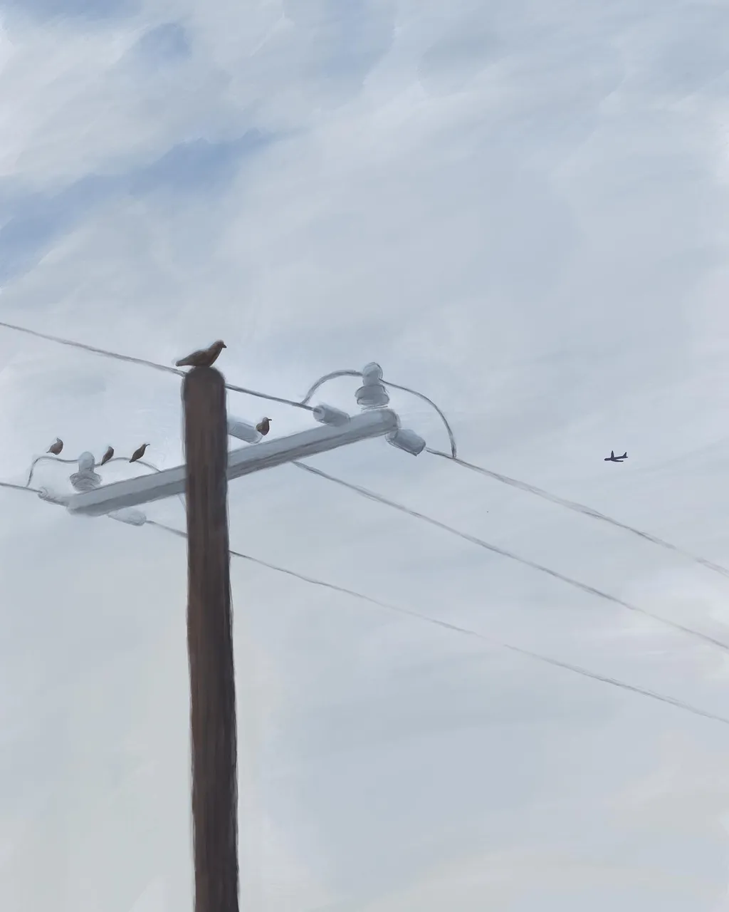 A dark utility pole anchors the composition against a pale, cloudy sky, with multiple wires strung across and several small birds perched on the structure.