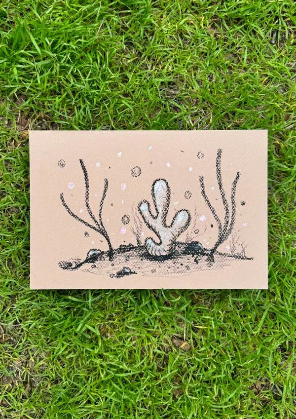 A drawing on light tan paper depicts several stylized, spiky desert plants and cacti emerging from a dark ground line, scattered with small circular marks.