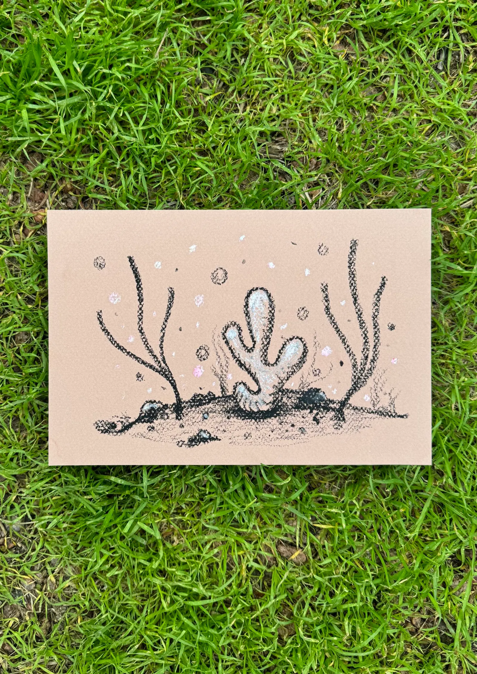 A drawing on light tan paper depicts several stylized, spiky desert plants and cacti emerging from a dark ground line, scattered with small circular marks.