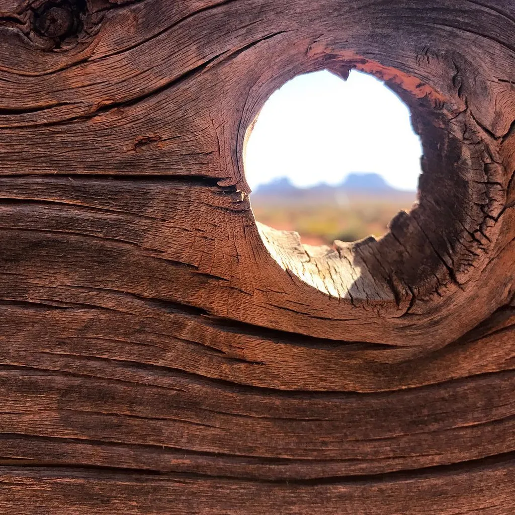 Deeply textured, reddish-brown wood grain surrounds a large, circular hole that frames a bright, distant landscape of hills and sky.