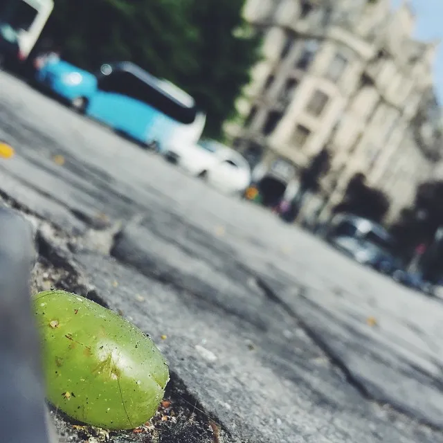 A vibrant green leaf rests on a textured gray curb that recedes diagonally, contrasting with the soft, blurred background of parked cars and a classical building.