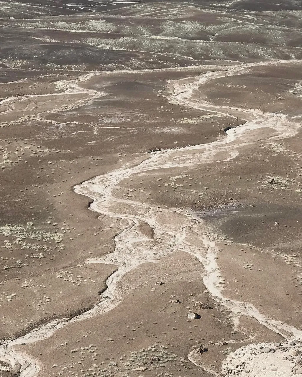 Sinuous, light-colored bands traverse a dry, textured landscape, creating a winding, meandering pattern against a backdrop of mottled brown and gray earth tones.