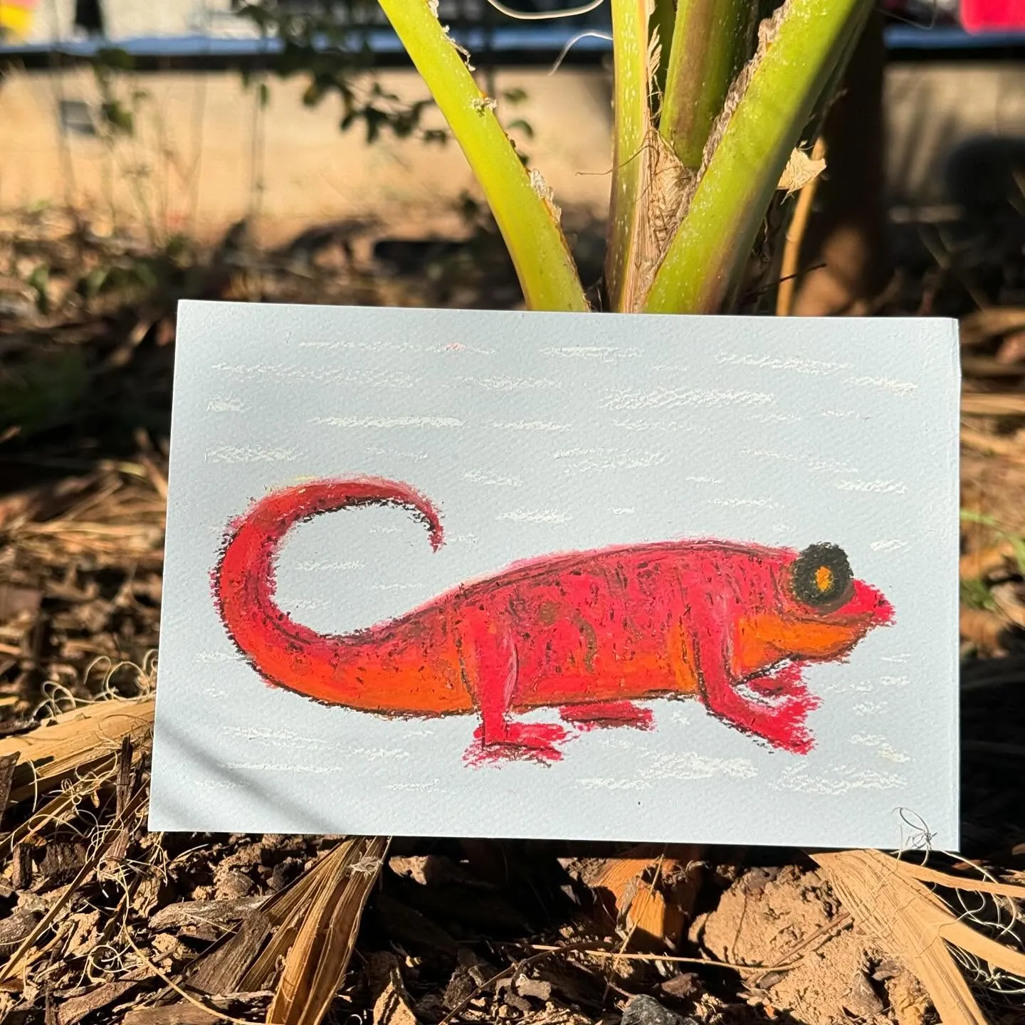 A bright red lizard drawing rests on a white card, positioned outdoors on dark mulch, with a vertical green stalk visible in the background.