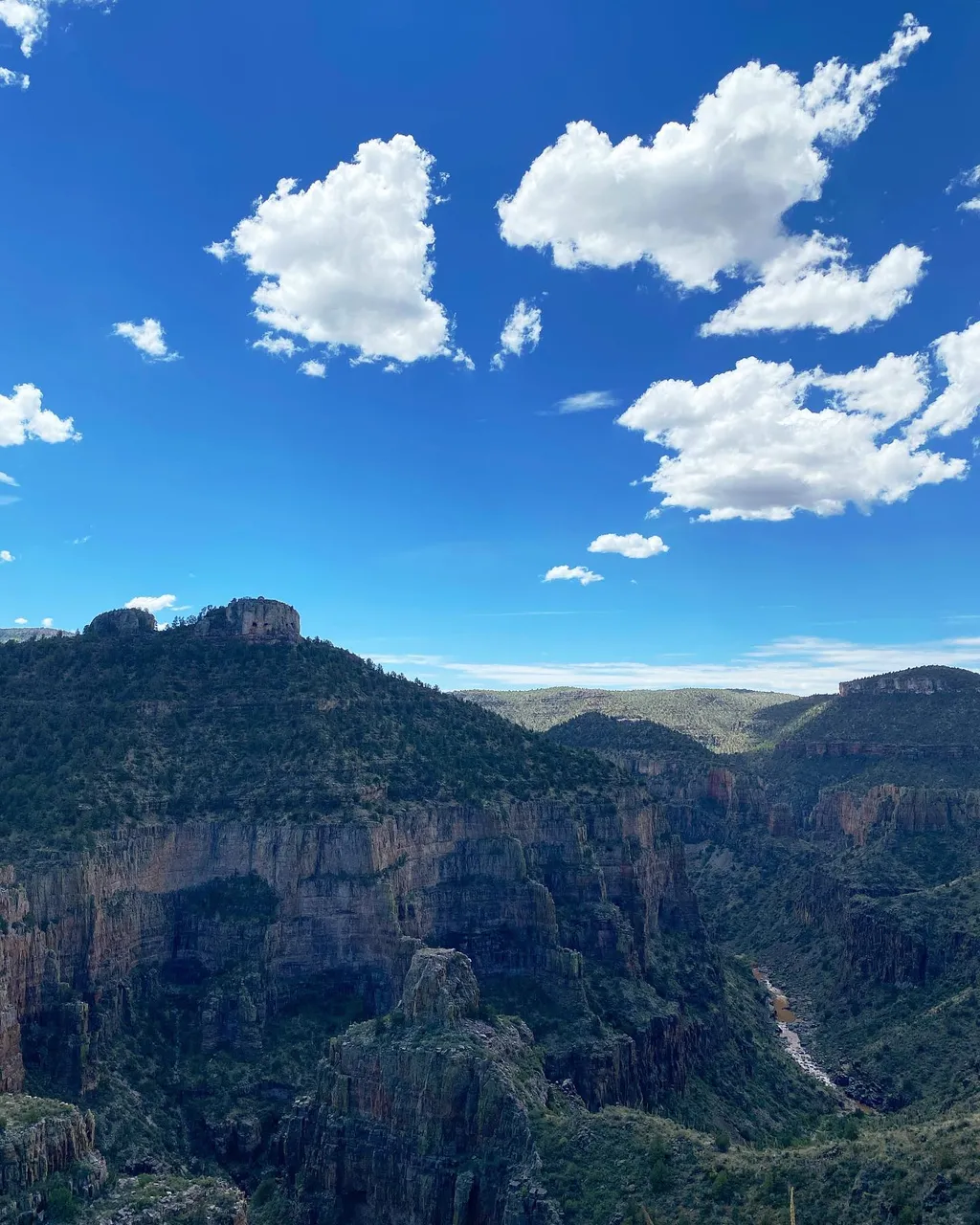 A vast canyon landscape under a bright blue sky filled with scattered white cumulus clouds, showing deep green vegetation covering layered brown rock cliffs.