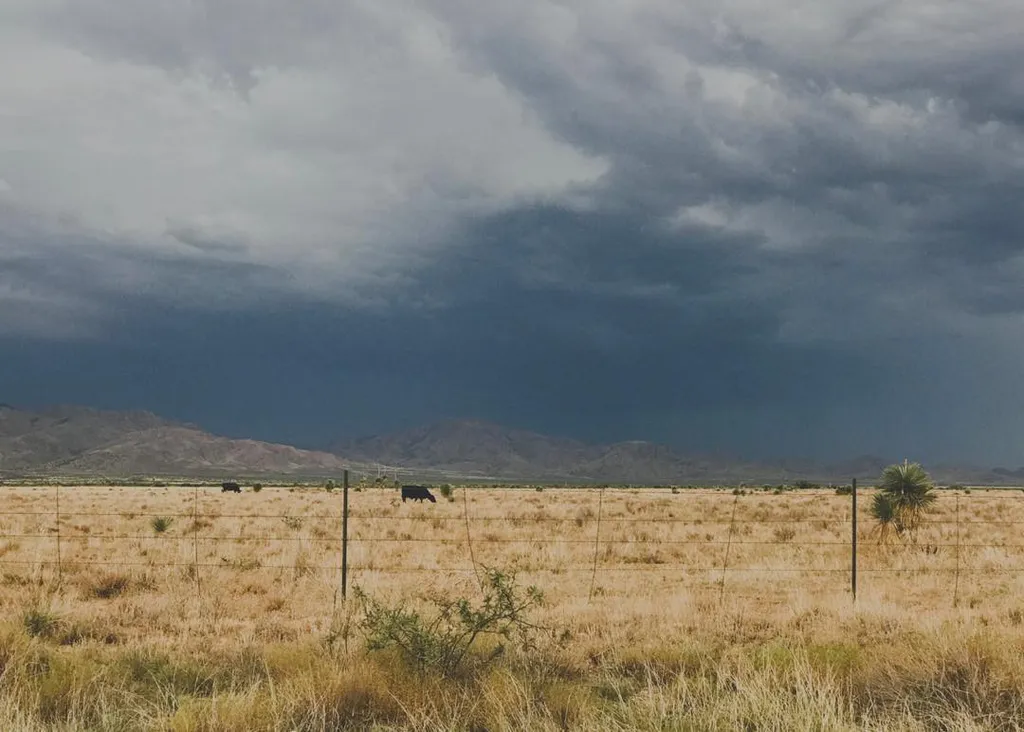 Dry golden grass fills the foreground, leading to a flat plain beneath a heavy, dark gray sky dominated by storm clouds and backed by hazy, muted mountains.