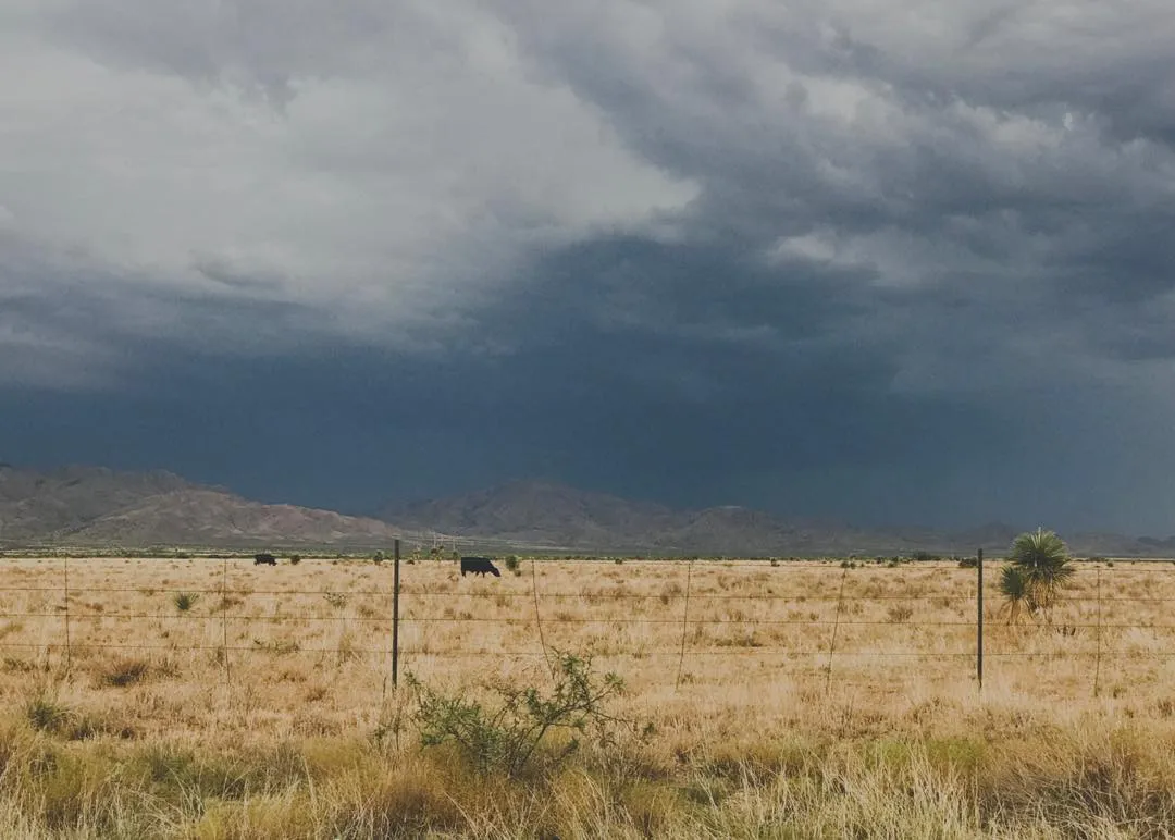 Dry golden grass fills the foreground, leading to a flat plain beneath a heavy, dark gray sky dominated by storm clouds and backed by hazy, muted mountains.