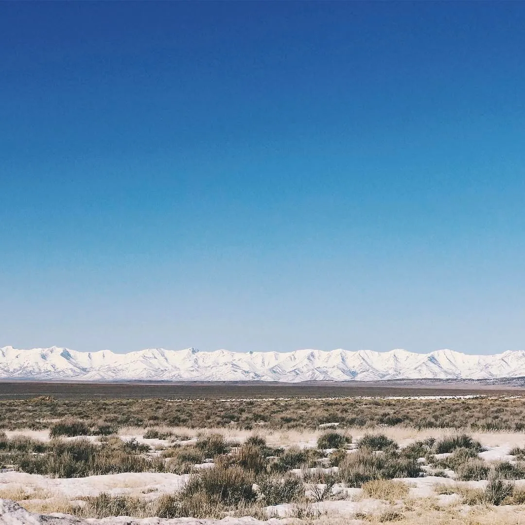 Dry tan scrub brush covers the foreground leading to a flat plain, backed by a long range of pale mountains beneath a clear, deep blue sky.