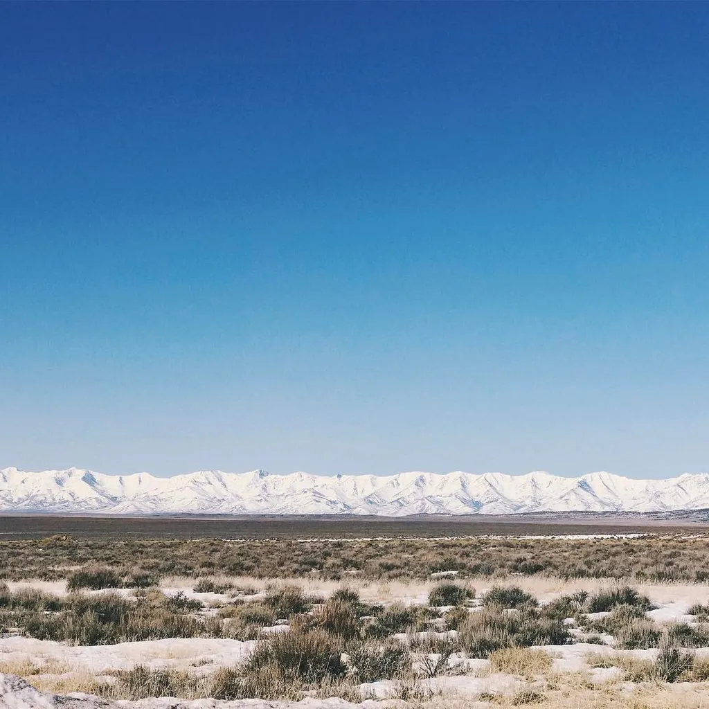 Dry tan scrub brush covers the foreground leading to a flat plain, backed by a long range of pale mountains beneath a clear, deep blue sky.