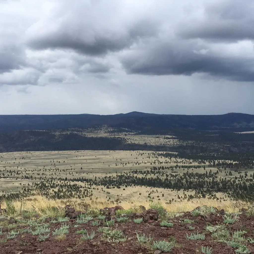 A wide, horizontal landscape shows a foreground of dark, textured earth leading to a vast field of tan grass and scattered dark trees beneath a heavy, layered sky of grays and whites.