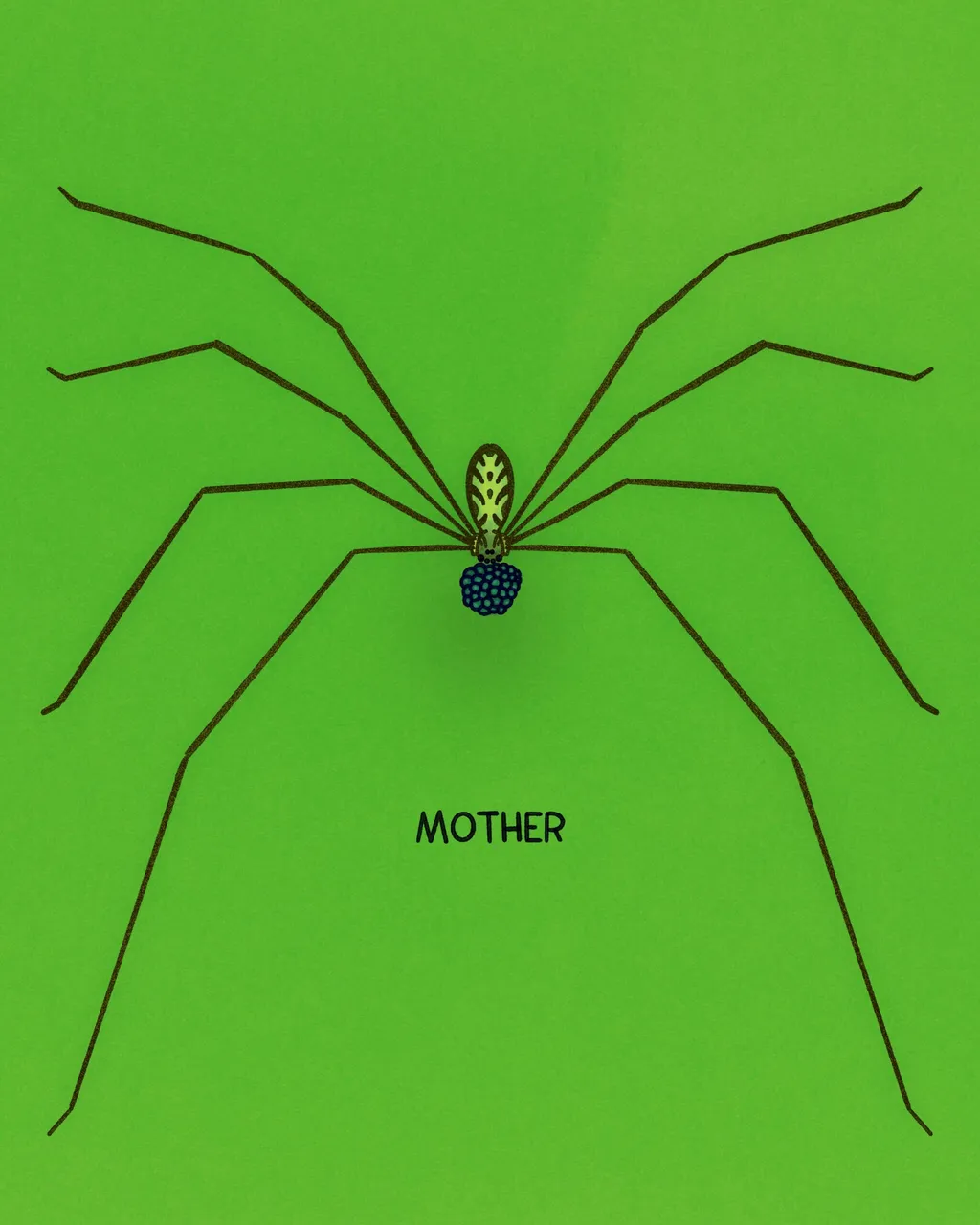 A symmetrical, dark brown spider with a blue and yellow body is centered on a solid lime green background, with the word MOTHER written above and below it.