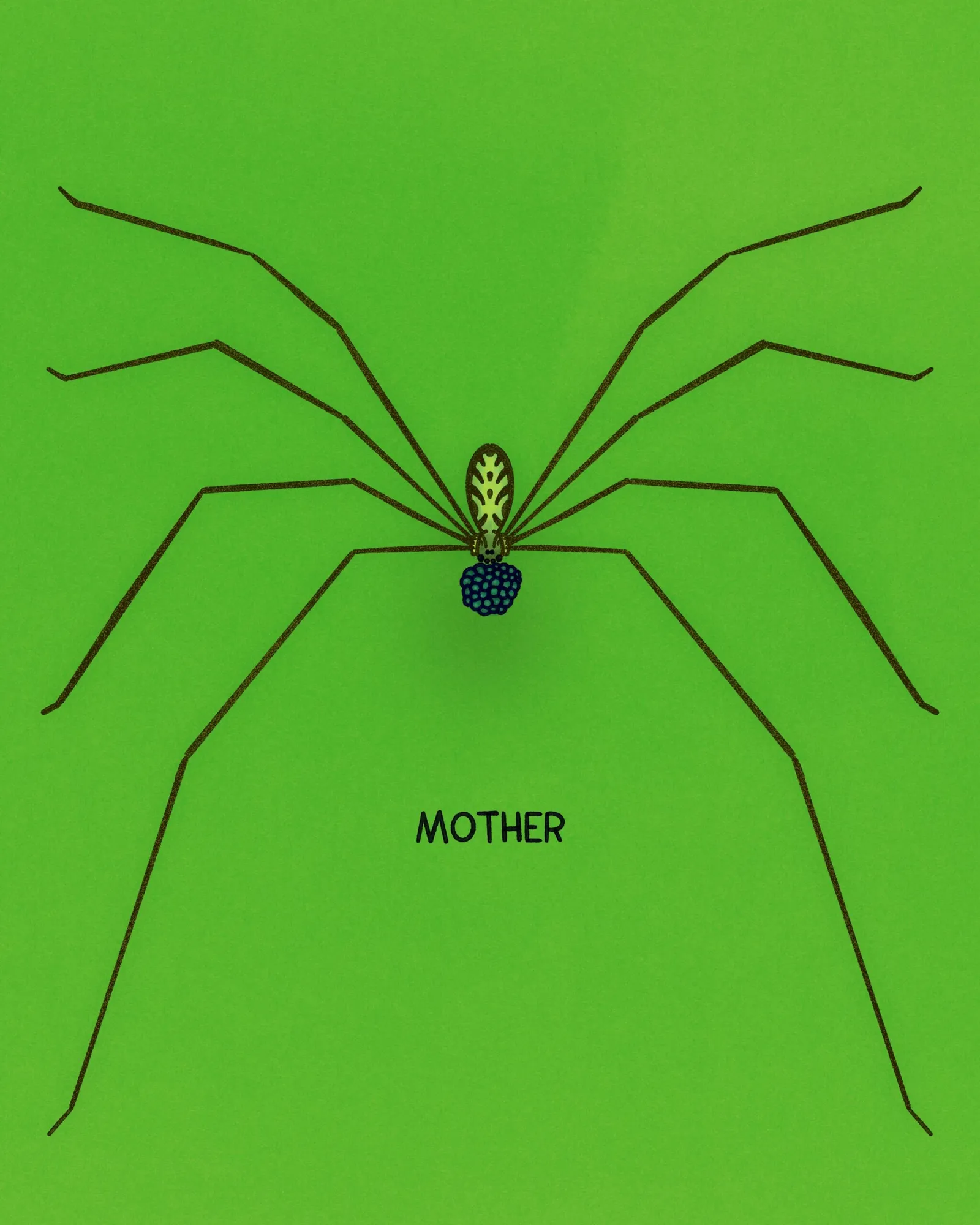 A symmetrical, dark brown spider with a blue and yellow body is centered on a solid lime green background, with the word MOTHER written above and below it.
