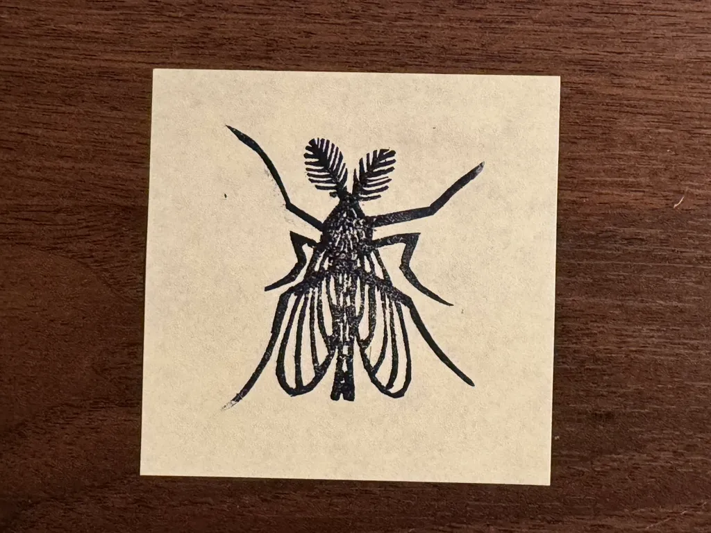 A detailed black ink drawing of an insect, positioned centrally on light paper, featuring prominent antennae, segmented legs, and a body rendered with fine lines and cross-hatching.