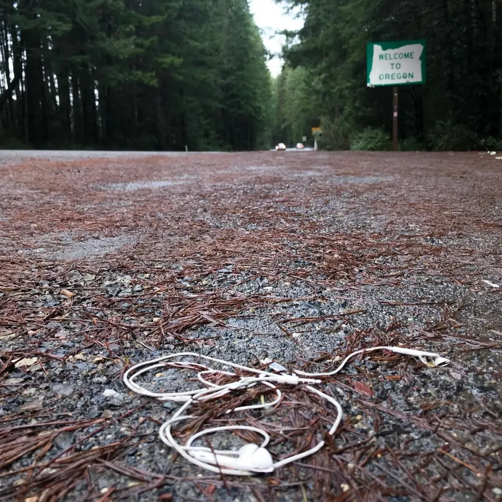 White coiled wires rest on a surface of gray gravel and scattered brown needles, set against a backdrop of dark green trees and a welcome sign.