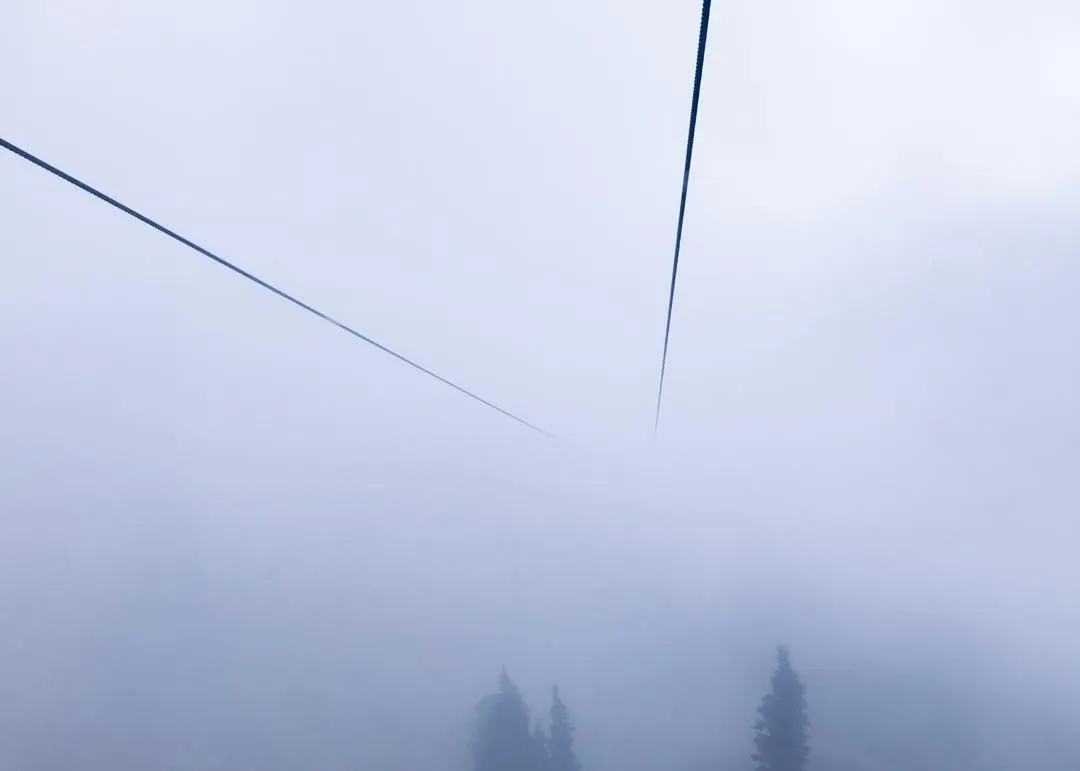 A foggy scene dominated by white and gray, featuring two sharp diagonal lines cutting across the upper space above dark, silhouetted trees at the base.
