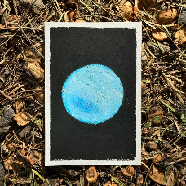 A square black canvas features a solid blue circle centered within the frame, set against a background of dry leaves and dirt.