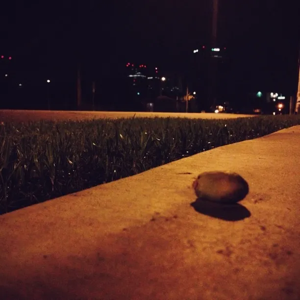 A textured concrete curb dominates the foreground, featuring a small stone casting a shadow, separated from a dark background by a strip of green grass and distant lights.
