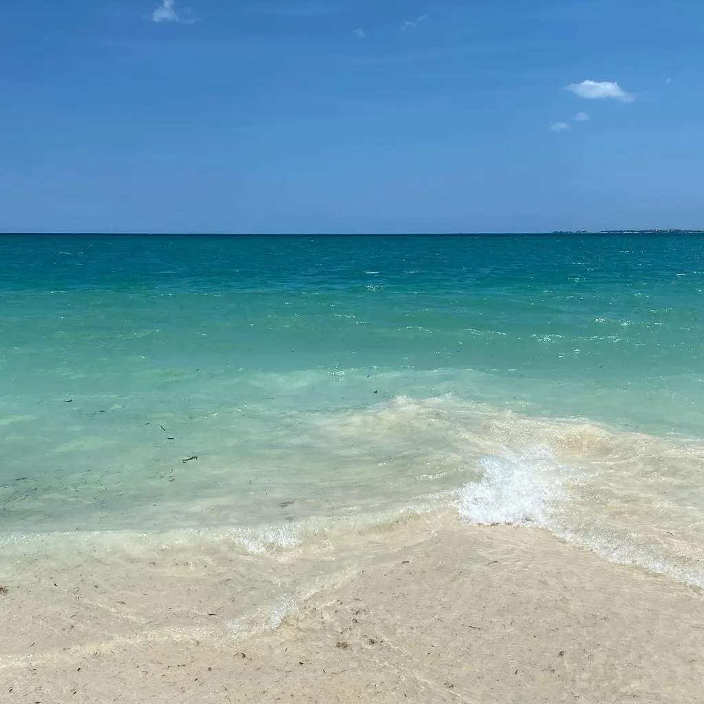 Bright blue sky meets a vast expanse of turquoise ocean, with gentle waves washing onto pale tan sand in the foreground.