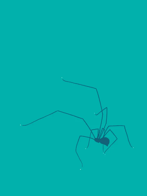 A dark blue line drawing of a large, stylized spider with eight thin legs is centered on a solid teal background.