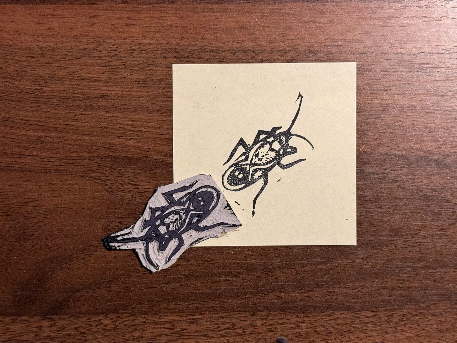 The composition features two black ink drawings of insects on light paper, placed on a dark brown wooden background. One drawing is a detailed sketch of a beetle, and the other is a loose, linear sketch of a smaller insect.