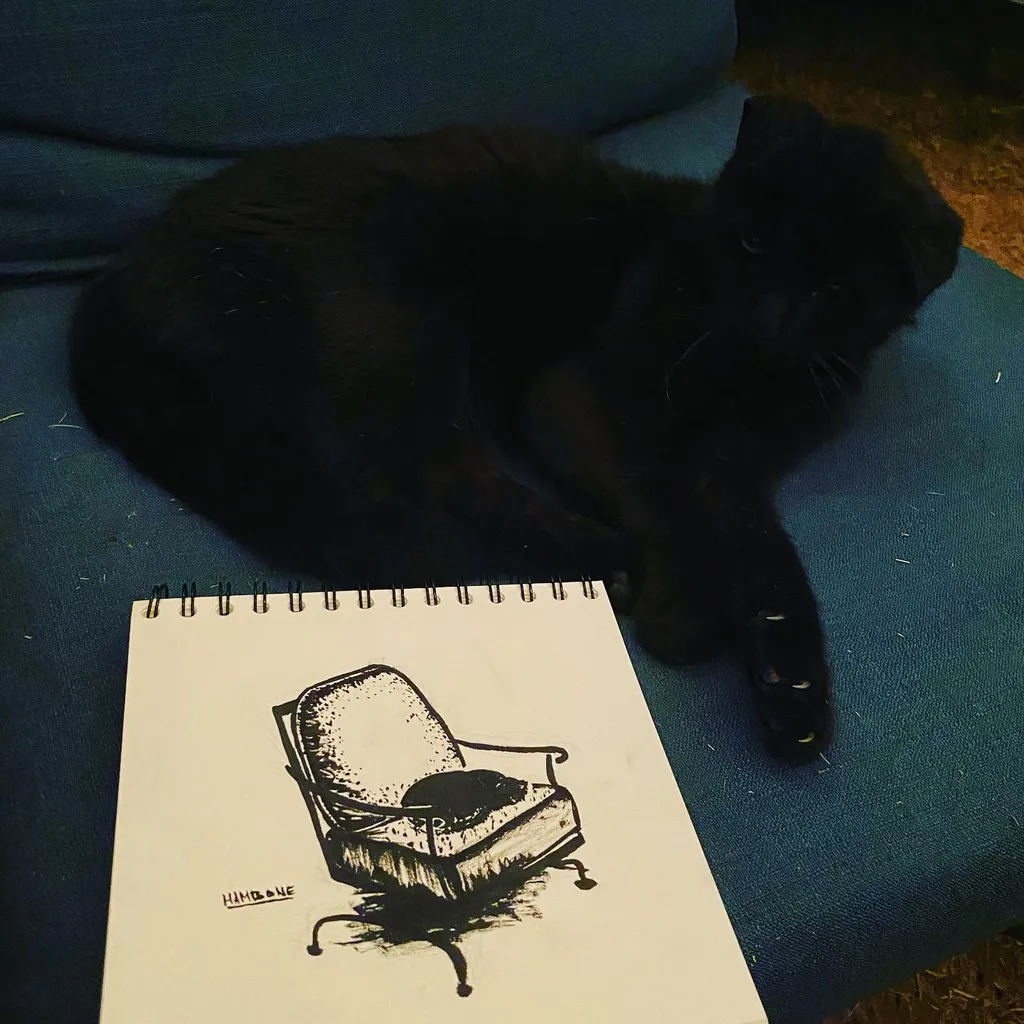A large black cat rests on a teal surface next to a spiral sketchbook displaying a detailed drawing of a cushion-filled armchair.