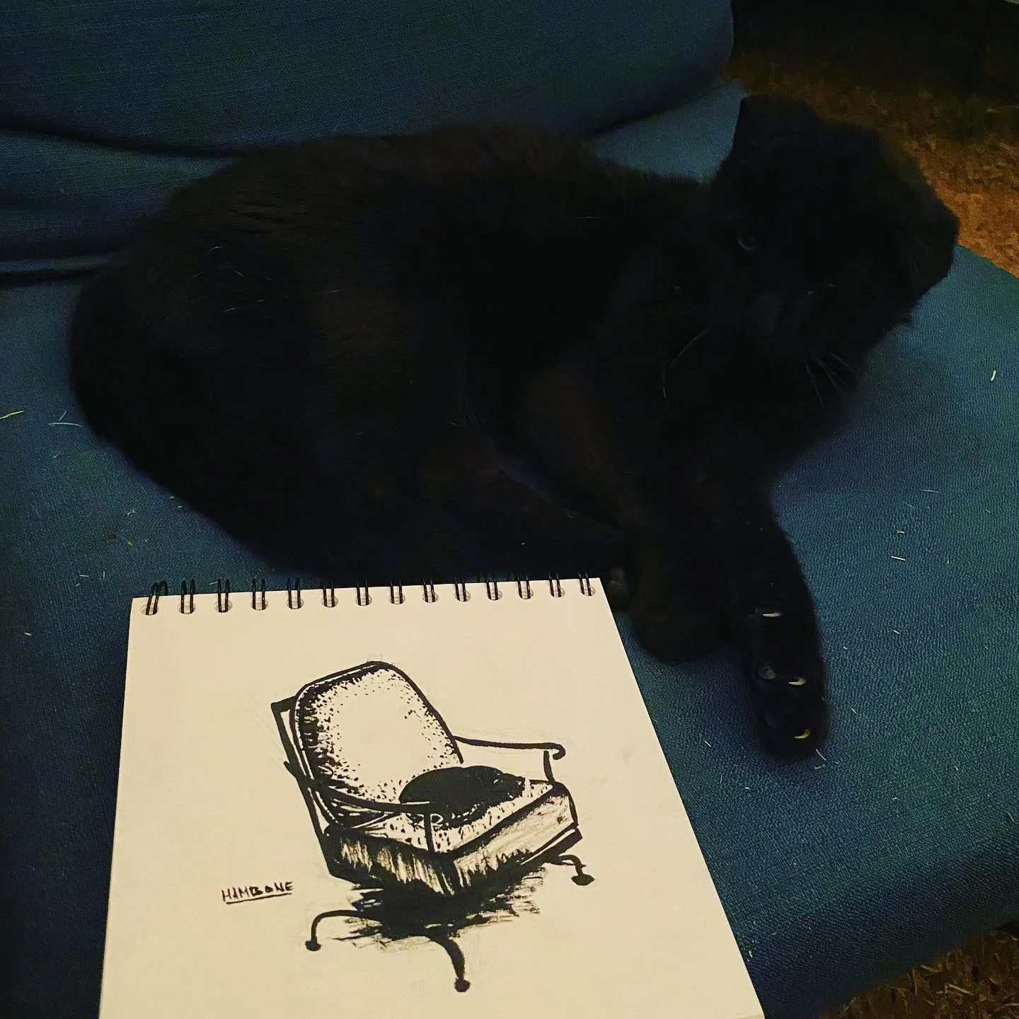 A large black cat rests on a teal surface next to a spiral sketchbook displaying a detailed drawing of a cushion-filled armchair.