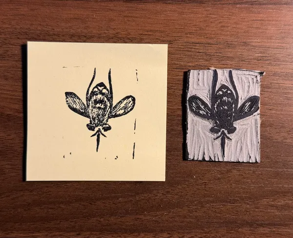 A light beige square paper features a black drawing of a stylized insect, next to a rectangular piece of textured wood bearing a similar black drawing.