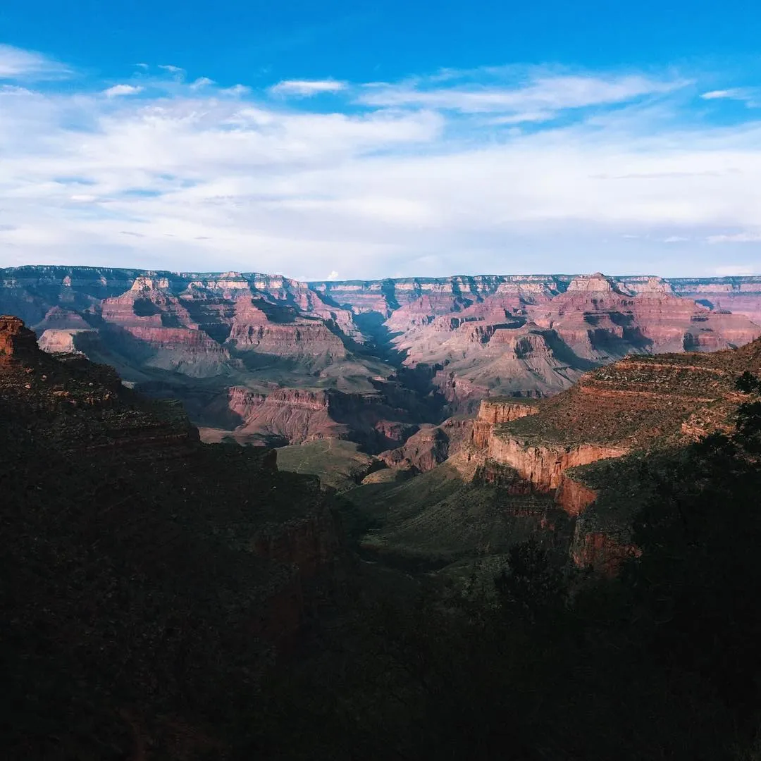 Layered red and tan canyon walls stretch across the horizon under a bright blue sky, contrasted by dark, shadowed foliage dominating the foreground.