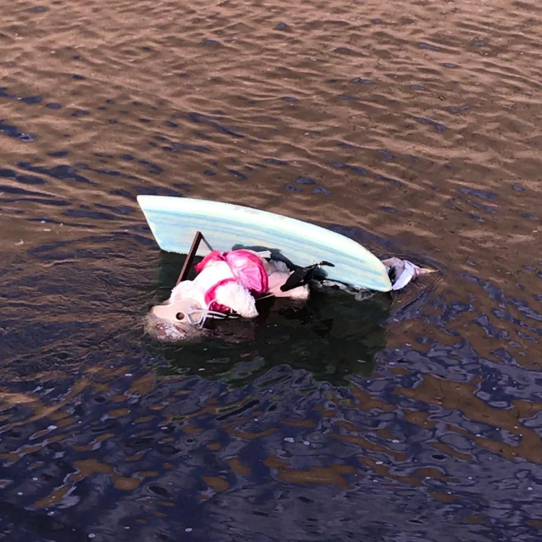Teal and dark surfboards float in rippling water, carrying a pink and black object, with the water surface transitioning from light brown to deep black.