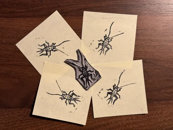 Multiple light tan papers, arranged on dark wood, display black ink drawings of various insects, including spiders and beetles, with one central piece featuring a larger specimen.