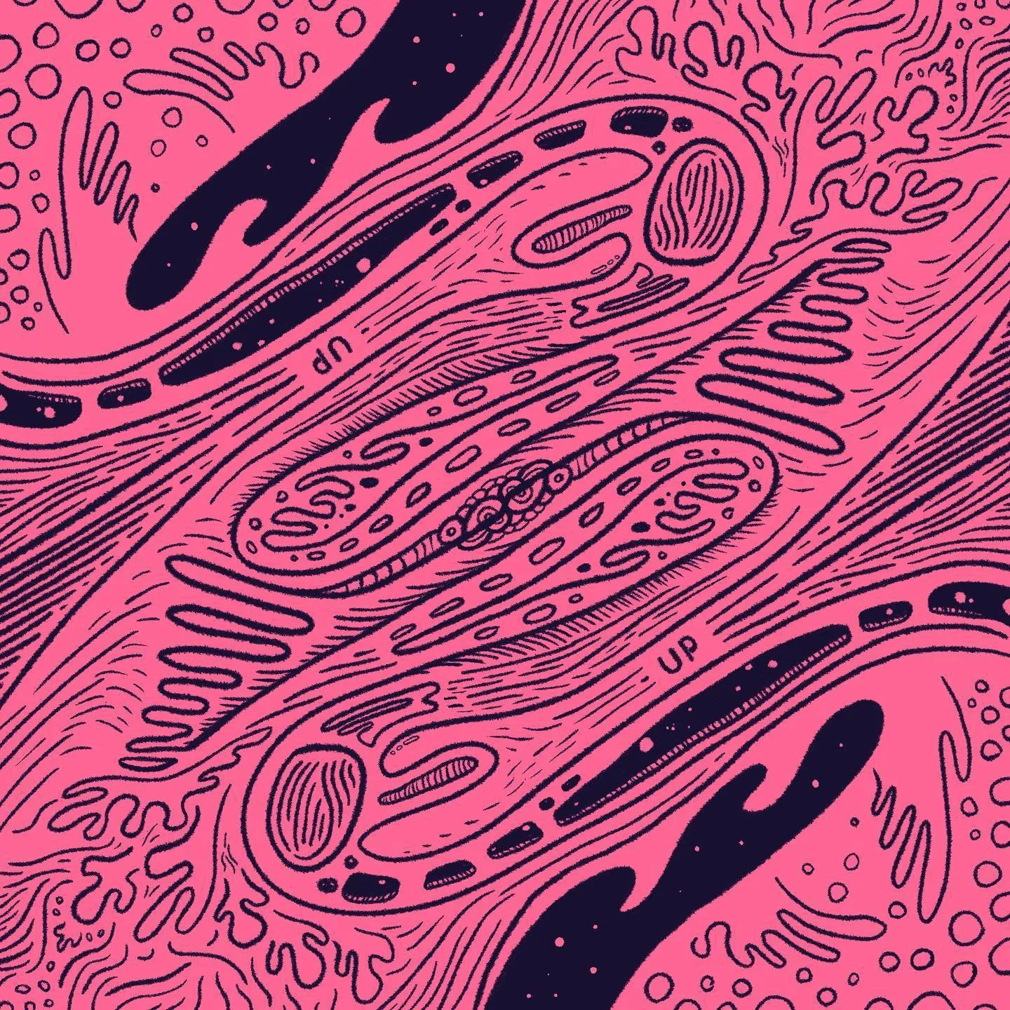 Intricate biological cross-section drawing in pink and dark blue ink, showing detailed, wavy, tube-like structures and large, sweeping organic shapes.